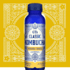 Pineapple Tepache