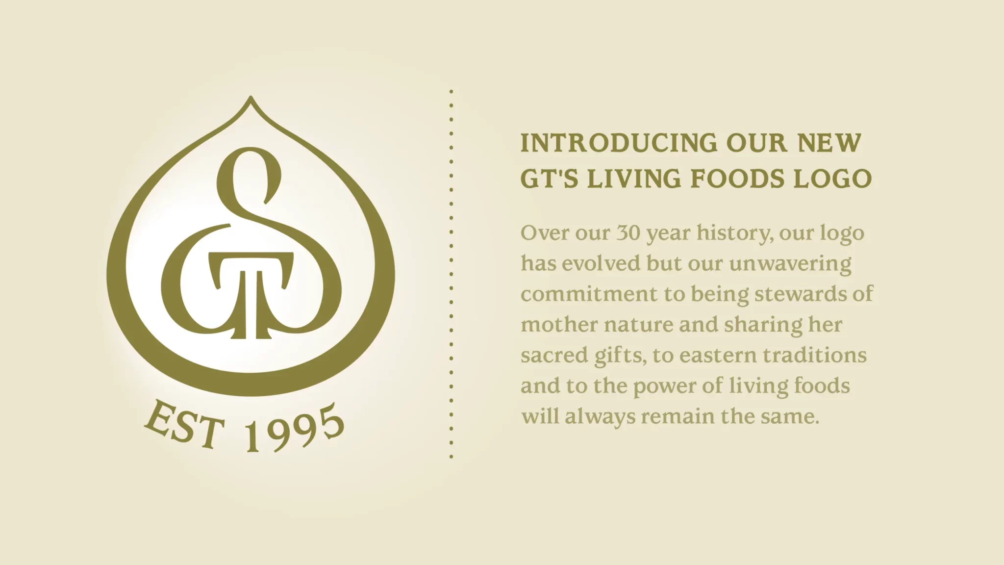 Newlogo.website-slider.sgv3_1