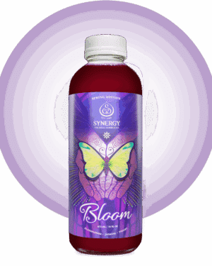 GT's Bloom SYNERGY Raw Kombucha Bottle