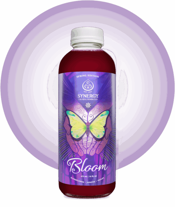 GT's Bloom SYNERGY Raw Kombucha Bottle