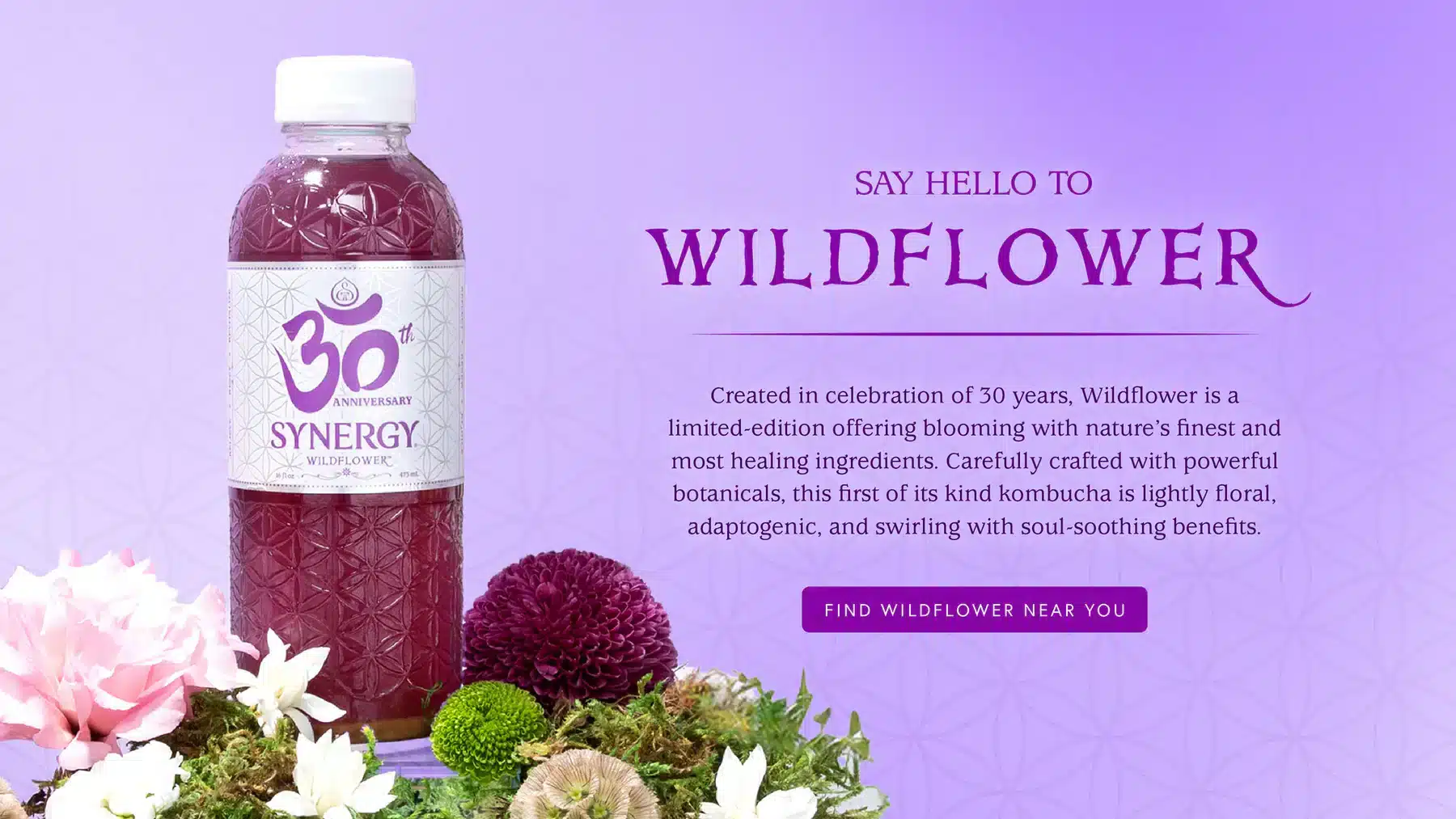 Wkd_slider_2025_desktop